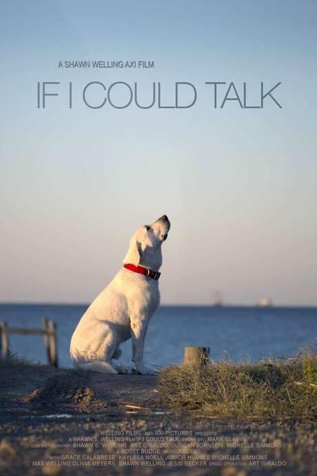 A man rescuing an abandoned puppy discovers a loyal companion to share life's joys and challenges with, ultimately welcoming the dog into his family. Through a fantastical twist, "If I Could Talk" grants the dog the extraordinary ability to express his thoughts, offering a unique and heartwarming perspective on friendship and belonging.